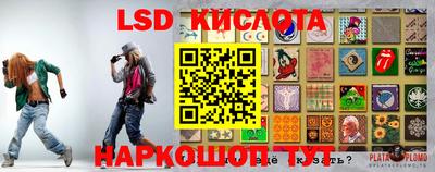 бошки Гай
