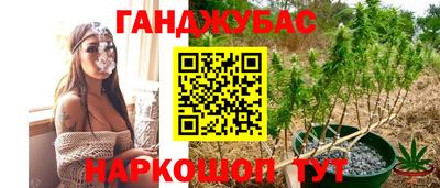 PSILOCYBIN Гусиноозёрск