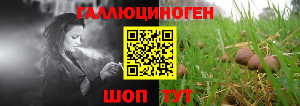 Галлюциногенные грибы Psilocybine cubensis  Вход с VPN  что такое наркотик  Междуреченск 